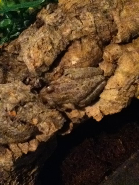 tumblr_nqoxkg86m01shq60zo6_1280.jpg tumblr_nqoxkg86m01shq60zo6_1280.jpg