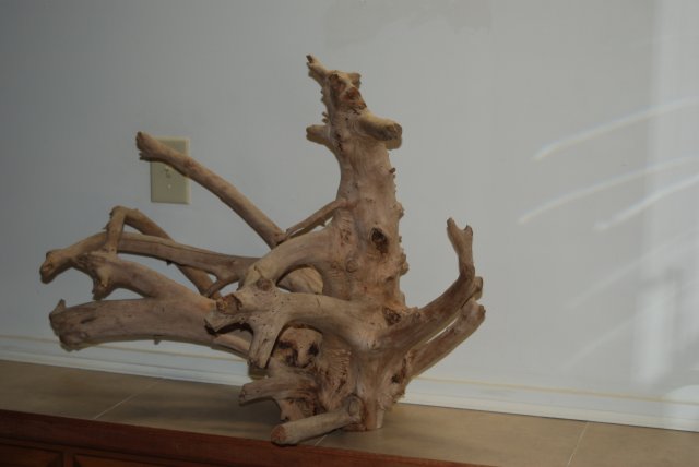 DSC_0165.JPG
