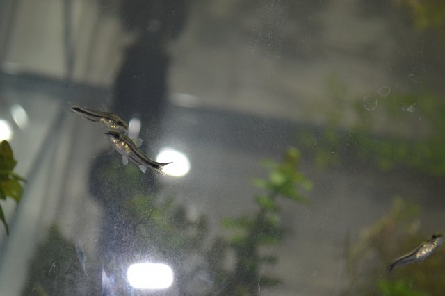 037.JPG 037.JPG