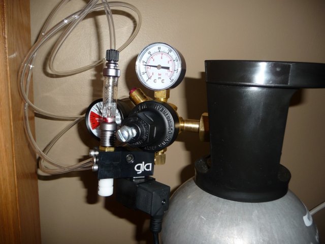 P1130021 (Large).JPG