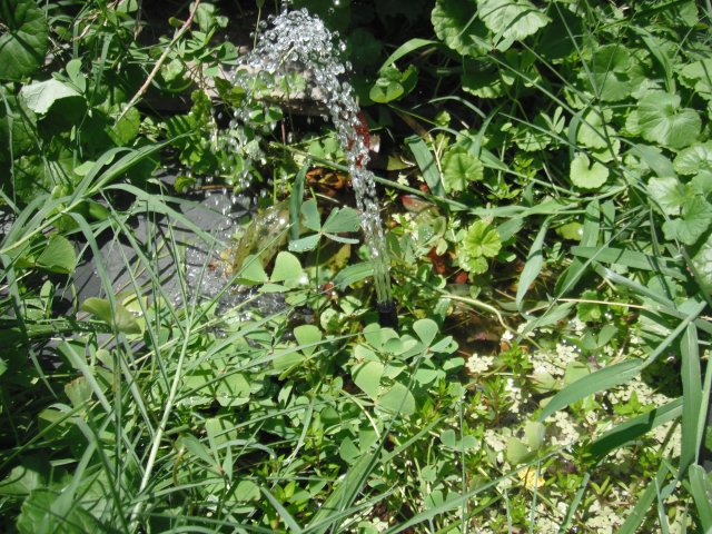 DSCF1303.JPG