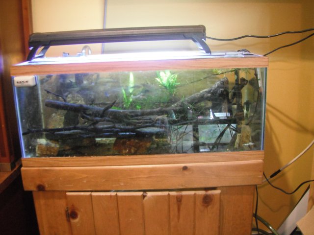 DSCF1506.JPG