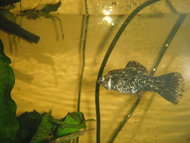 DSCF1290.JPG