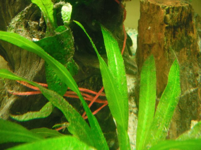 DSCF1431.JPG