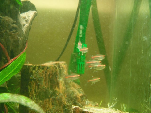 DSCF1453.JPG