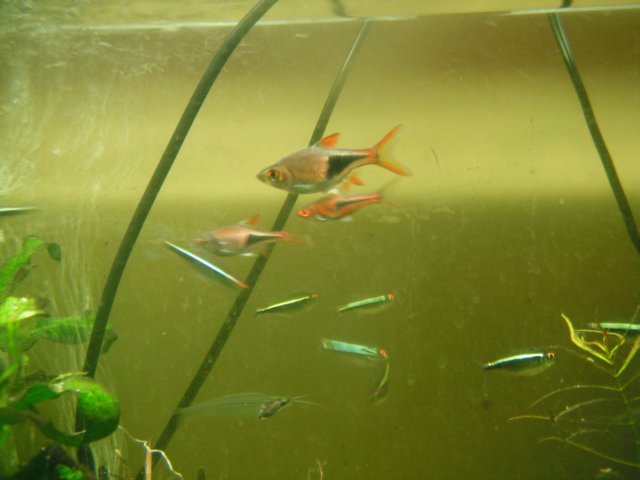 DSCF1456.JPG