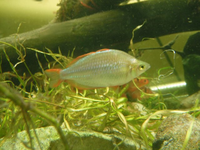 DSCF1470.JPG