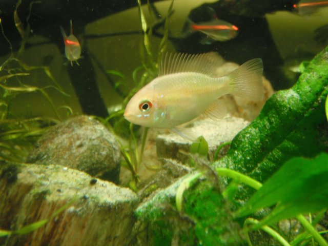 DSCF1473.JPG