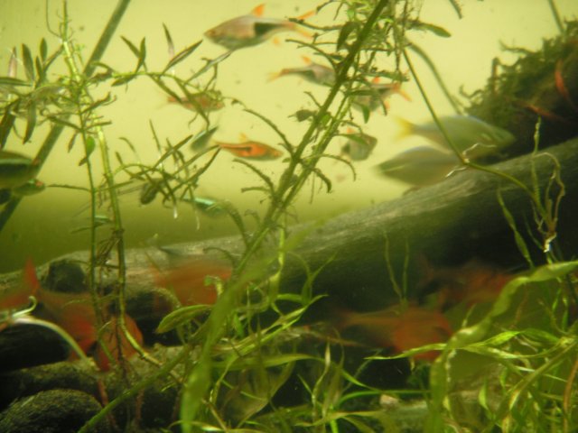 DSCF1477.JPG