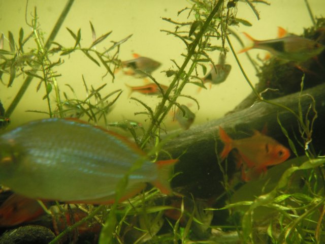 DSCF1478.JPG