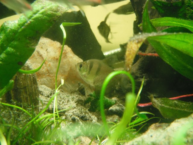DSCF1483.JPG