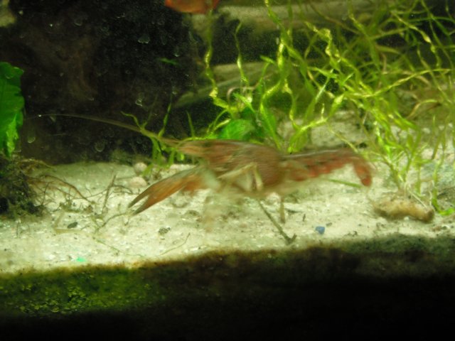 DSCF1498.JPG