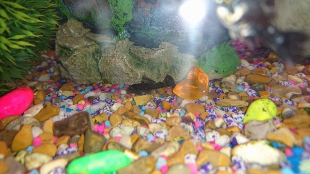 received_10153300172672861.jpeg received_10153300172672861.jpeg