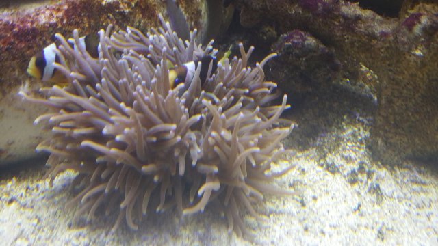 2015-10-30 18.18.06.jpg 2015-10-30 18.18.06.jpg