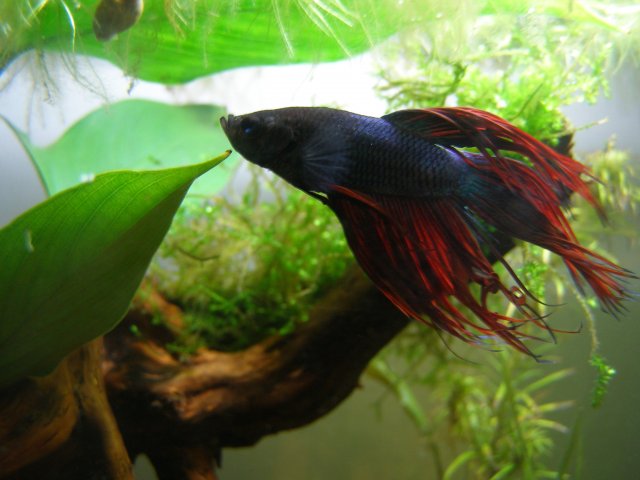 2005-01-01 00.00.00-183.jpg