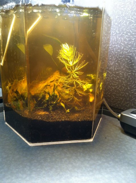 IMG_1508.JPG IMG_1508.JPG