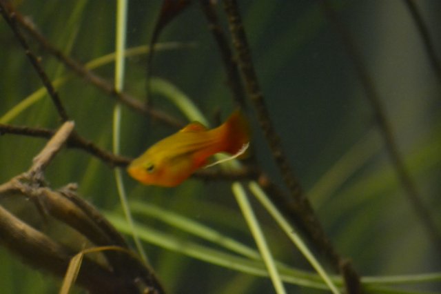 DSC_0045.JPG DSC_0045.JPG