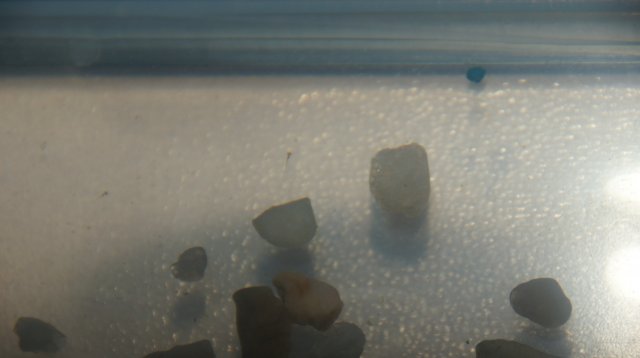 DSC04847.JPG DSC04847.JPG