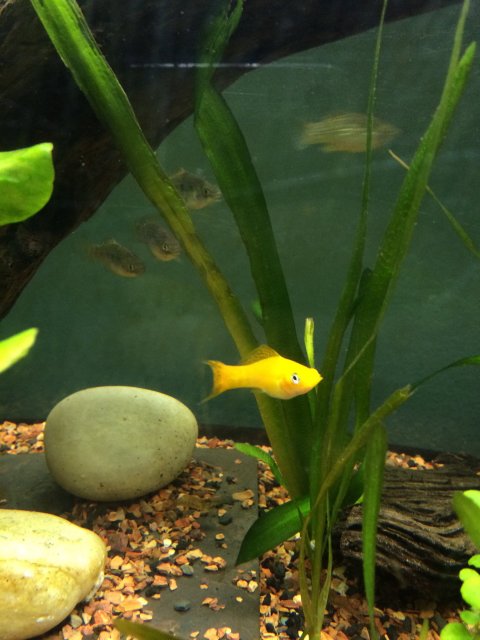 image.jpeg image.jpeg