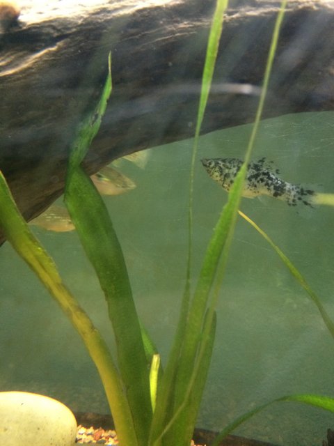 image.jpeg image.jpeg