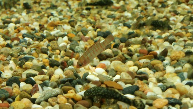 20151215_162124.jpg