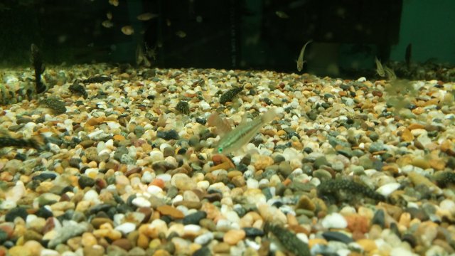 20151215_162033.jpg