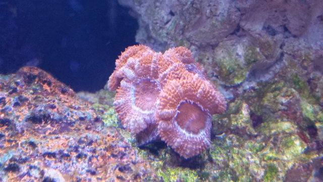 20151216_161650.jpg