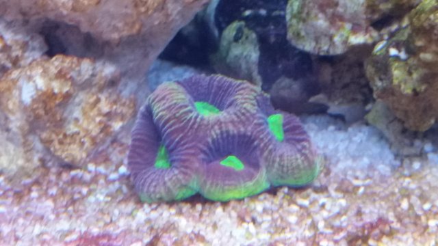 20151216_161634.jpg