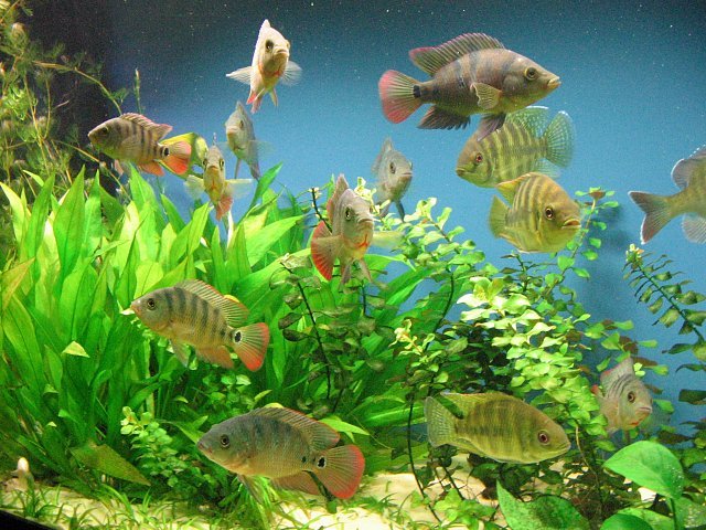 assetFY8W3C1L.jpg
