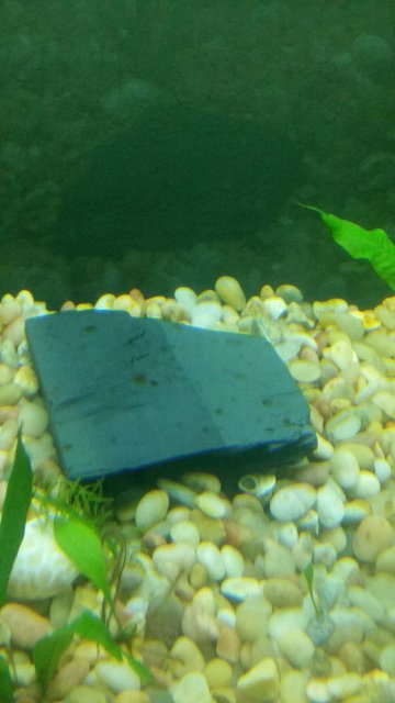 20160107_113736_resized.jpg