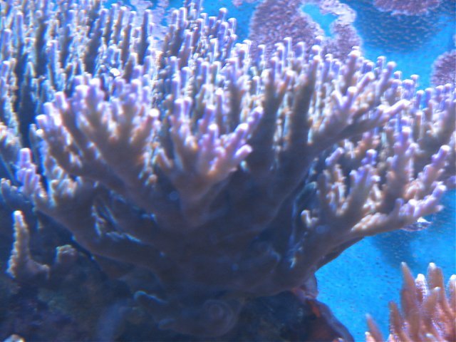 asset8Z5C0ZIF.jpg