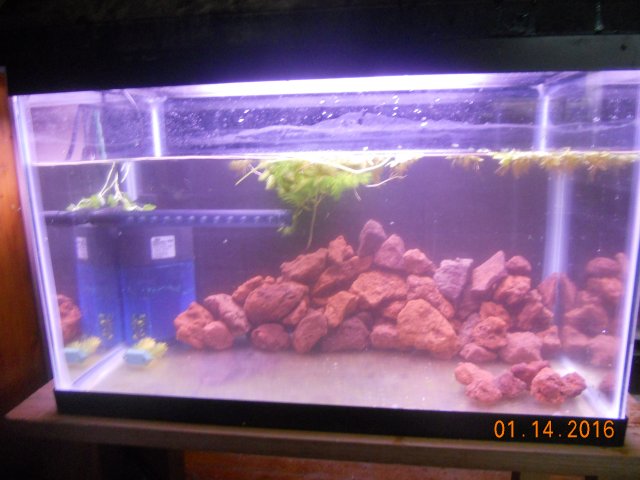 DSCN3268.JPG