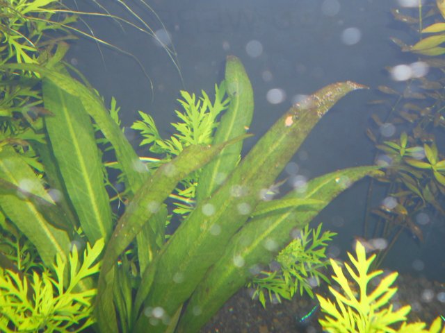 DSCN0034.JPG