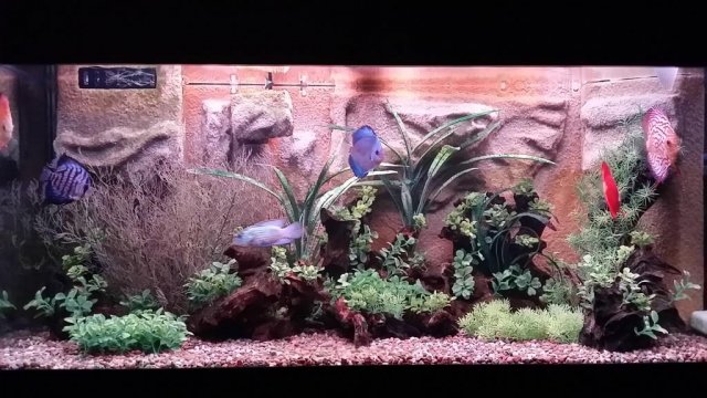 20160226_182746.jpg