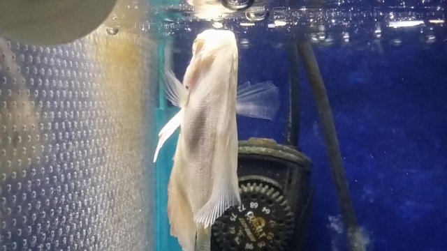 20160226_183630.jpg