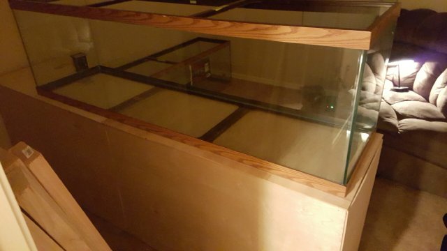 20160226_232657.jpeg