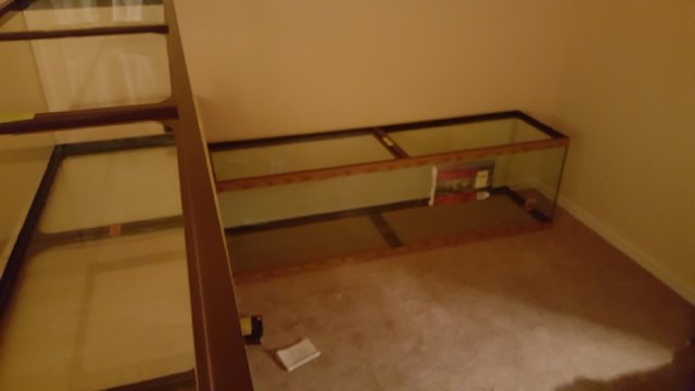 20160226_232704.jpeg