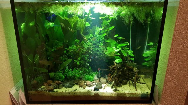 20160226_231848.jpeg