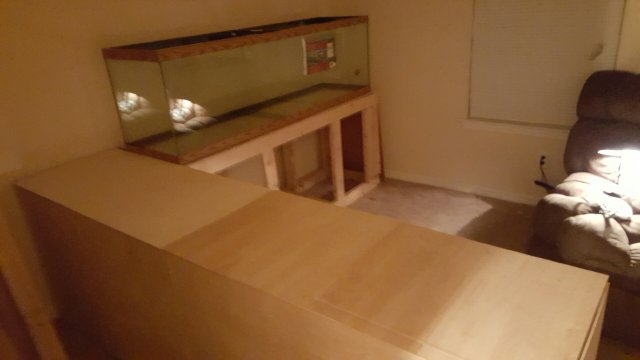 20160227_010542.jpeg