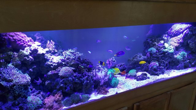 20160130_104211.jpeg
