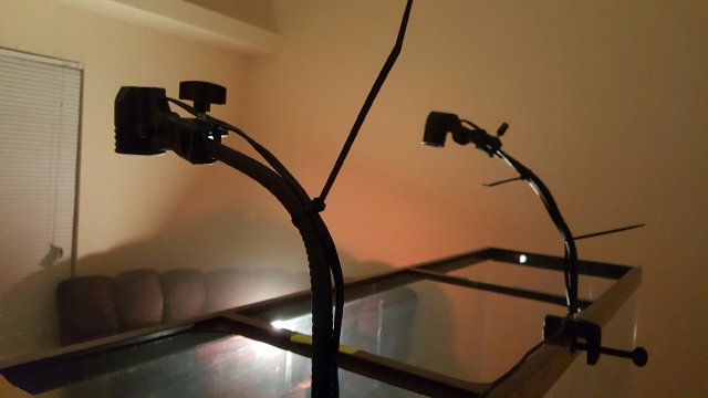 20160229_195657.jpeg