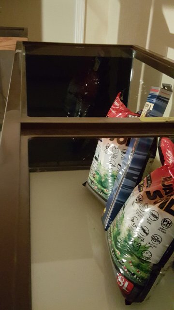 20160301_005621.jpeg