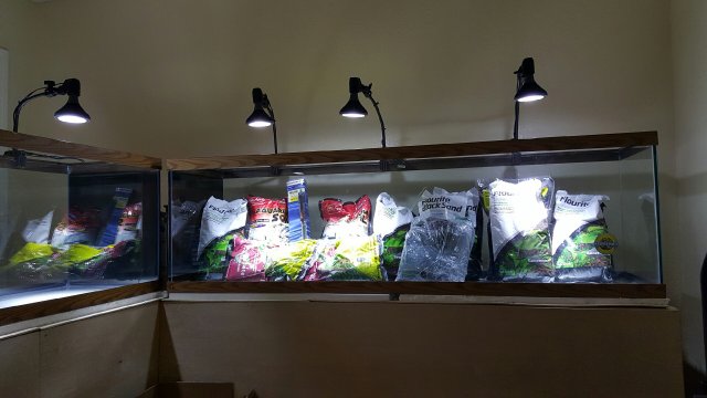 20160305_230001.jpeg