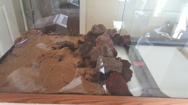 20160309_154109.jpeg
