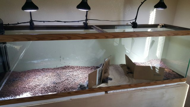 20160309_165409.jpeg