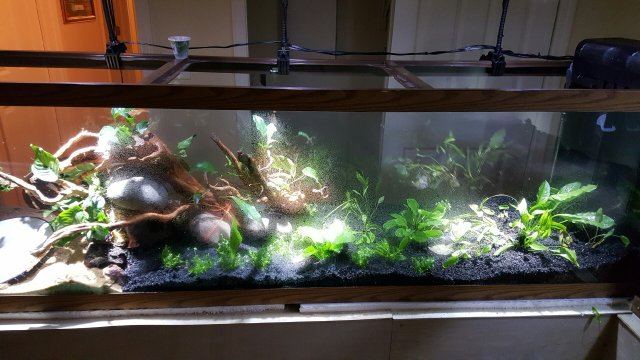 20160309_200250.jpeg