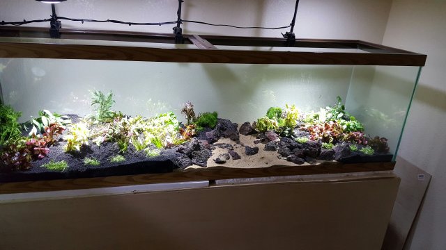 20160309_212839.jpeg
