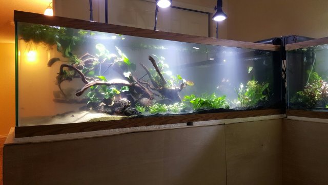 20160314_190622.jpeg