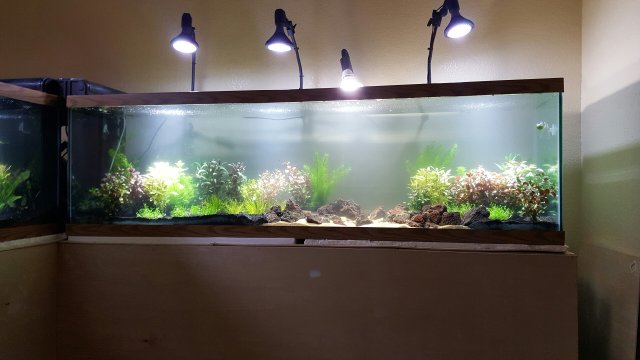 20160314_190611.jpeg