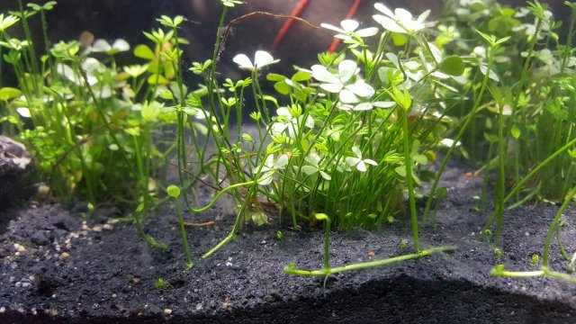 20160315_184005.jpeg